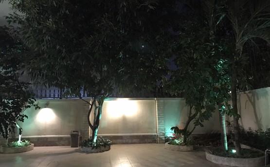 villa for rent in thao dien district 2 hcmc D2200006 (1)